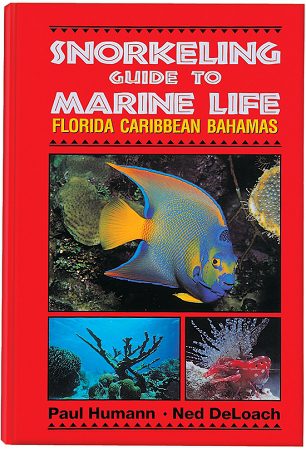 Snorkeling Guide To Marine Life Book