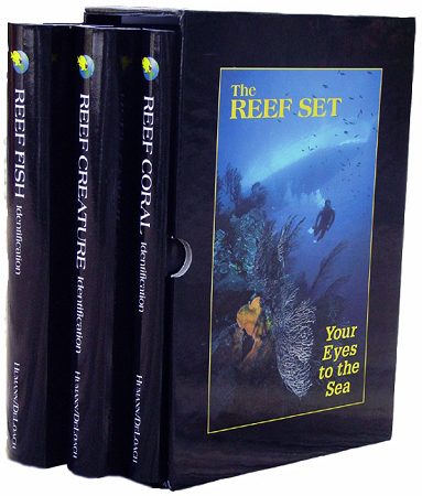 Shelf Case - Holds 3 Books