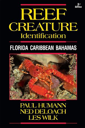 Reef Creature Identification Book