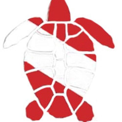 Turtle Vinyl Die Cut Sticker