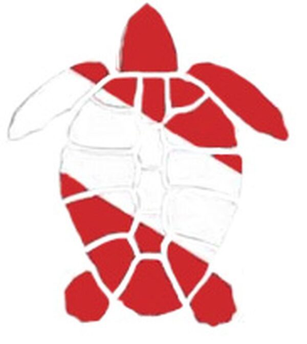 Turtle Vinyl Die Cut Sticker