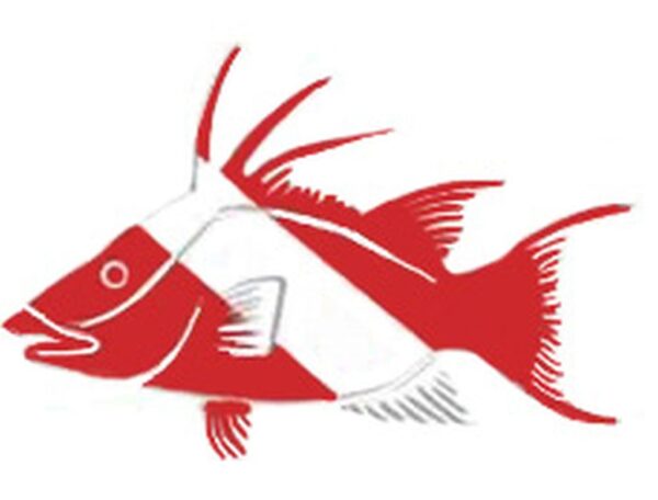 Hogfish Vinyl Die Cut Sticker