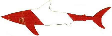 Large Shark Vinyl Die Cut Sticker
