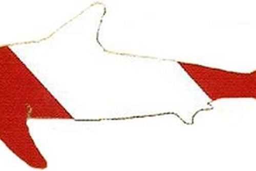 Shark Vinyl Die Cut Sticker