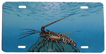 Florida Lobster License Plate - Metal