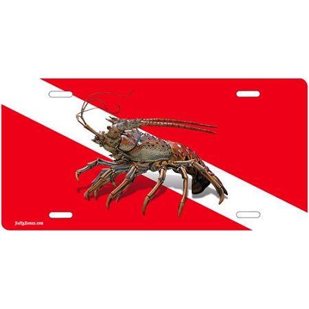 Dive Flag With Lobster License Plate - Metal