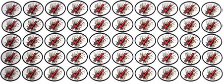 Lionfish Kill Stickers