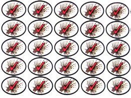 Lionfish Kill Stickers 25 Pk