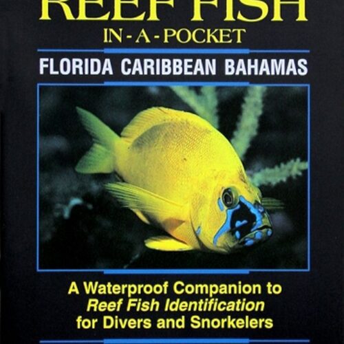 Fish In A Pocket Reef Fish Id Book