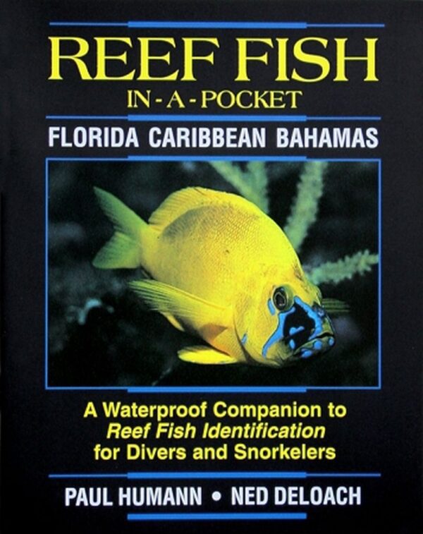 Fish In A Pocket Reef Fish Id Book