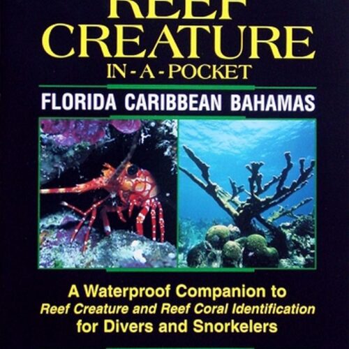 Reef Creature In A Pocket Reef Creature Id Book