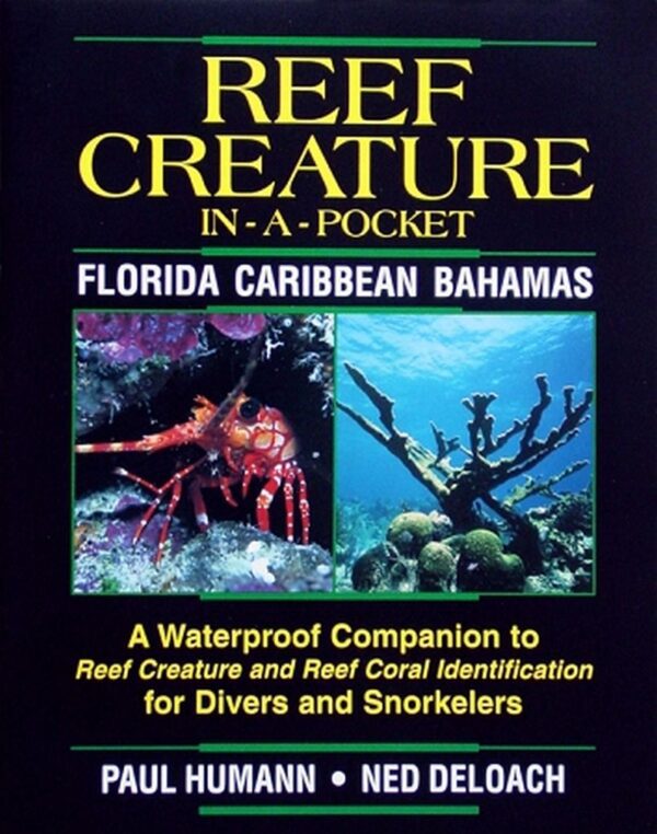 Reef Creature In A Pocket Reef Creature Id Book