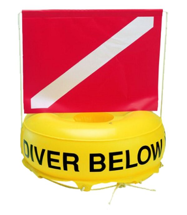 Inflatable Float And Flag Combo - 21" X 16" Flag