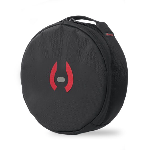 Bag, Regulator