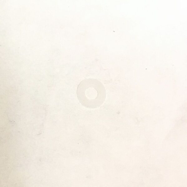 Stainless Washer