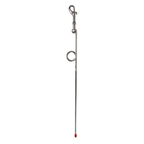 Dm Pointer W/ Attachment Clip