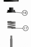 Oral Spring