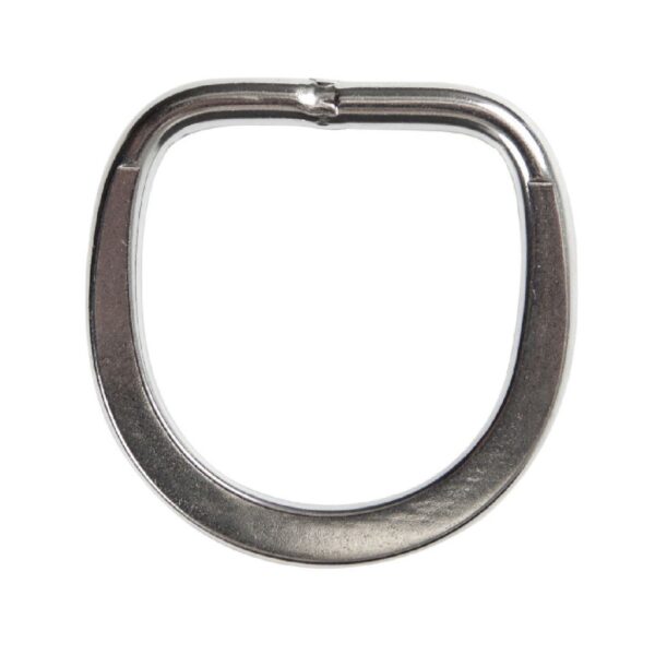 2.0" ss Flat Lifting D-Ring