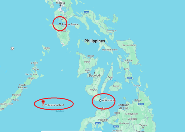 Philippines - Atlantis Azores - Tubbataha Charter & Atlantis Dumaguete Resort